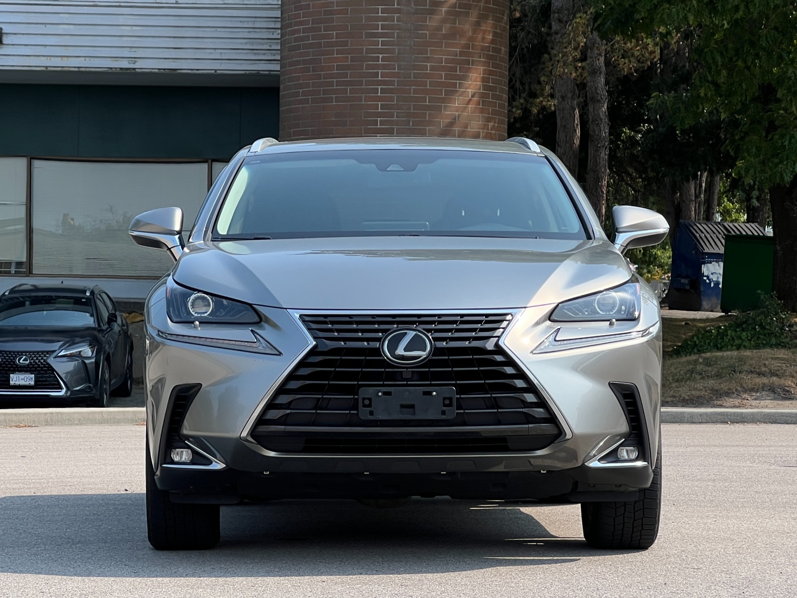 2019 Lexus NX300 | No accident | BC Local - Image 3