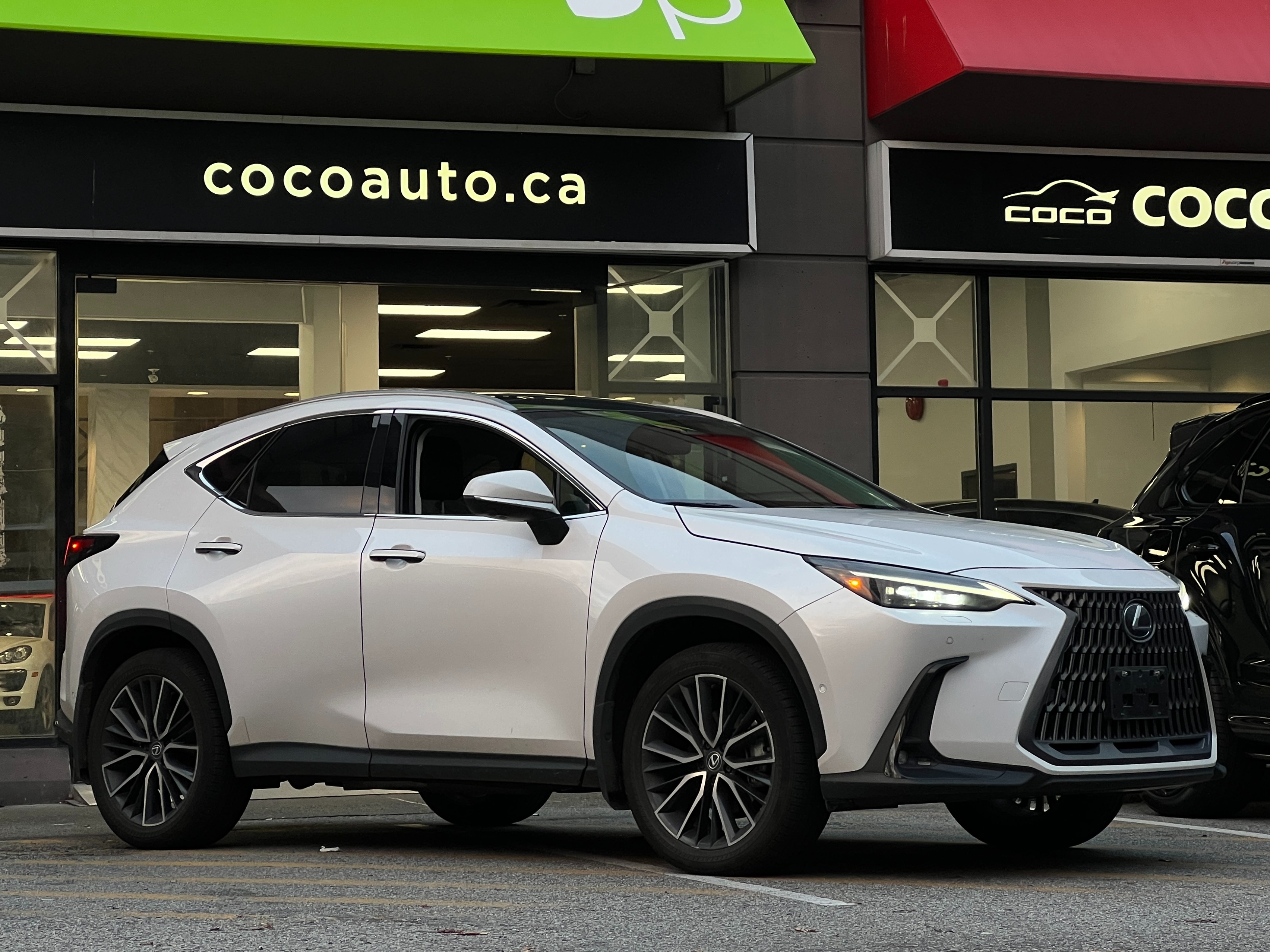 2024 Lexus NX350h | No accident | BC Local - Image 2