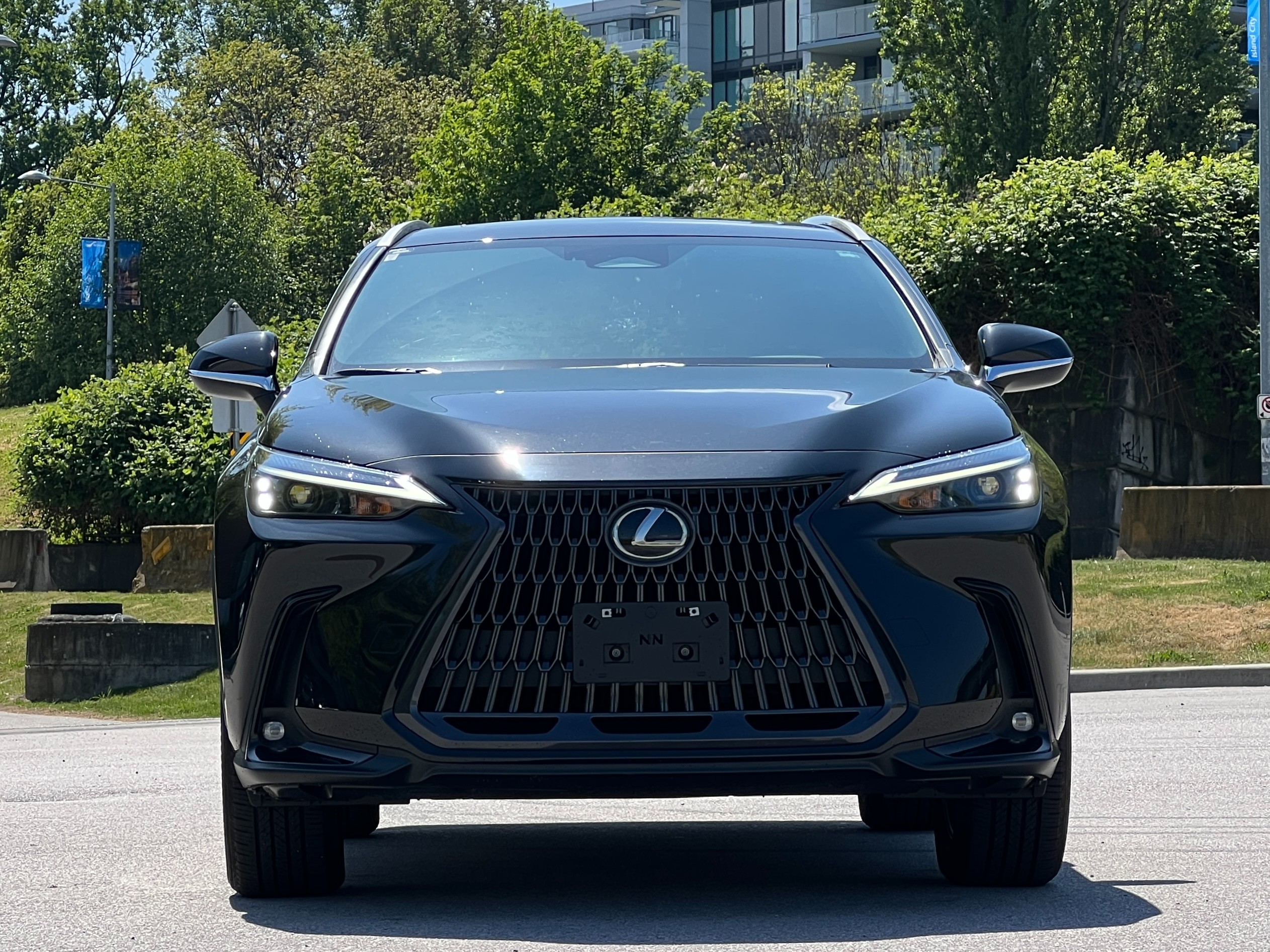 2023 Lexus nx350h premium | No accident - Image 3