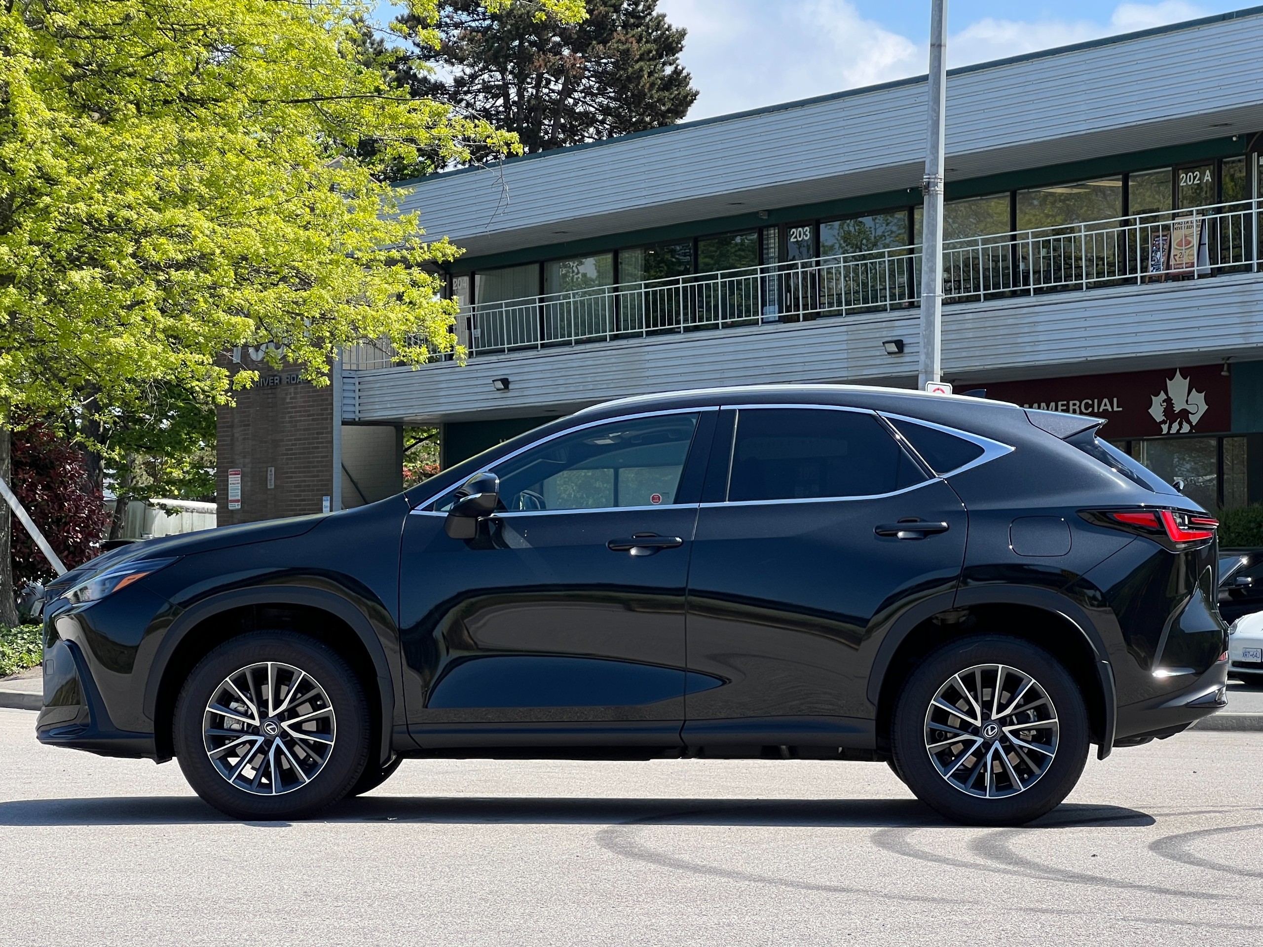 2023 Lexus nx350h premium | No accident - Image 4