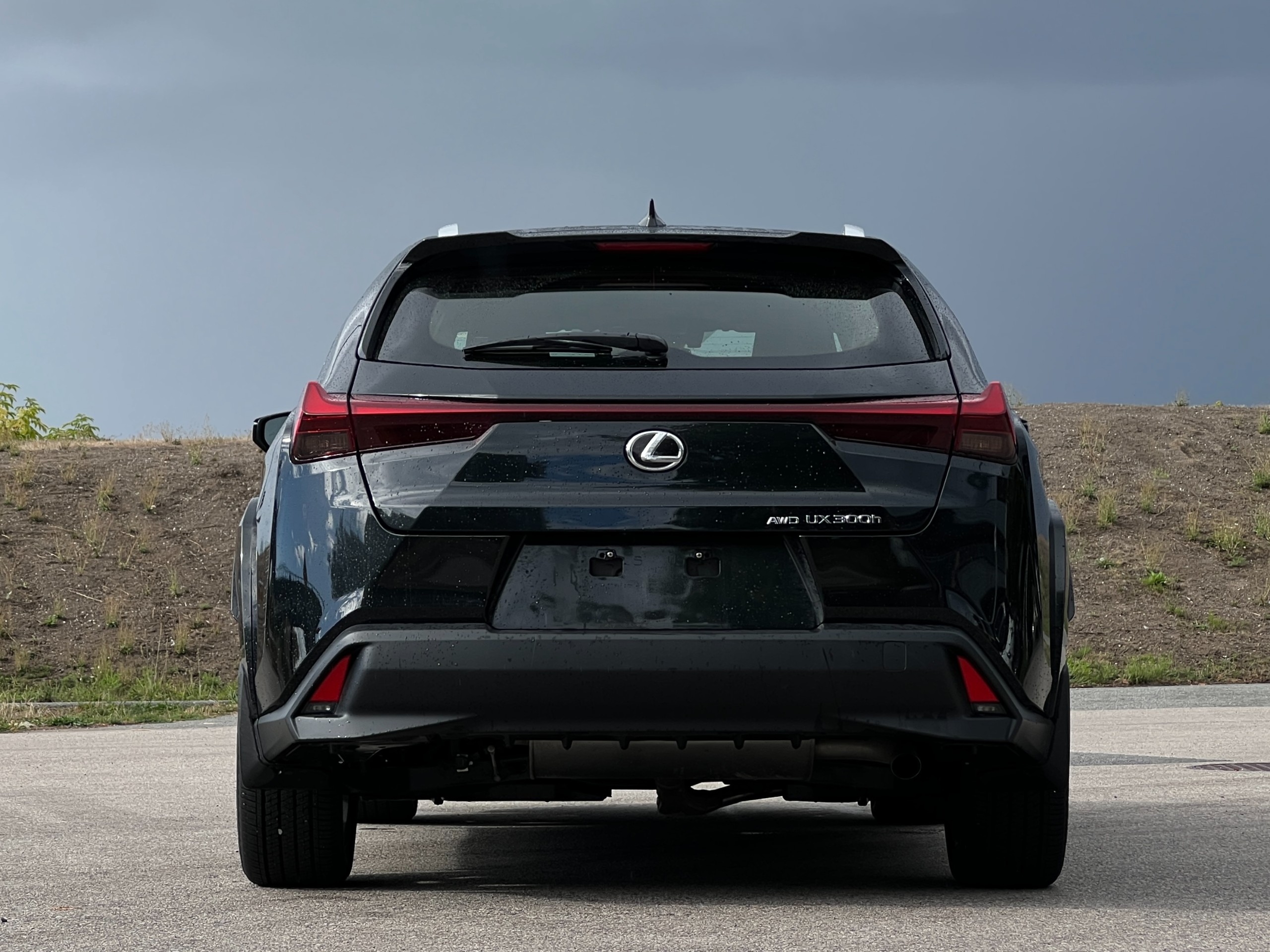 2025 Lexus UX300h | No accident | BC Local | Low km - Image 7