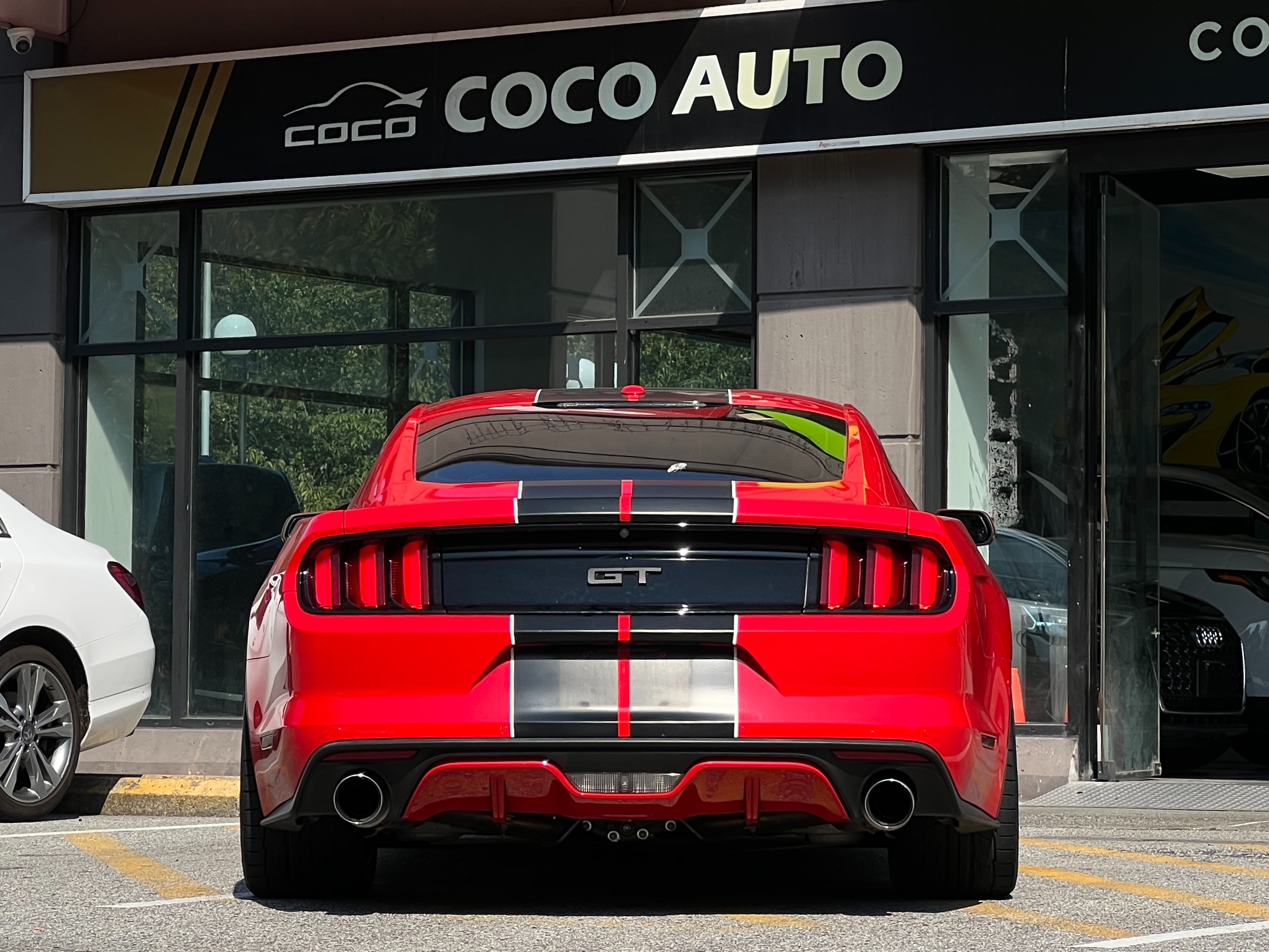 2015 Ford mustang gt 5.0 performance package | no accident | manual transmission - Image 5