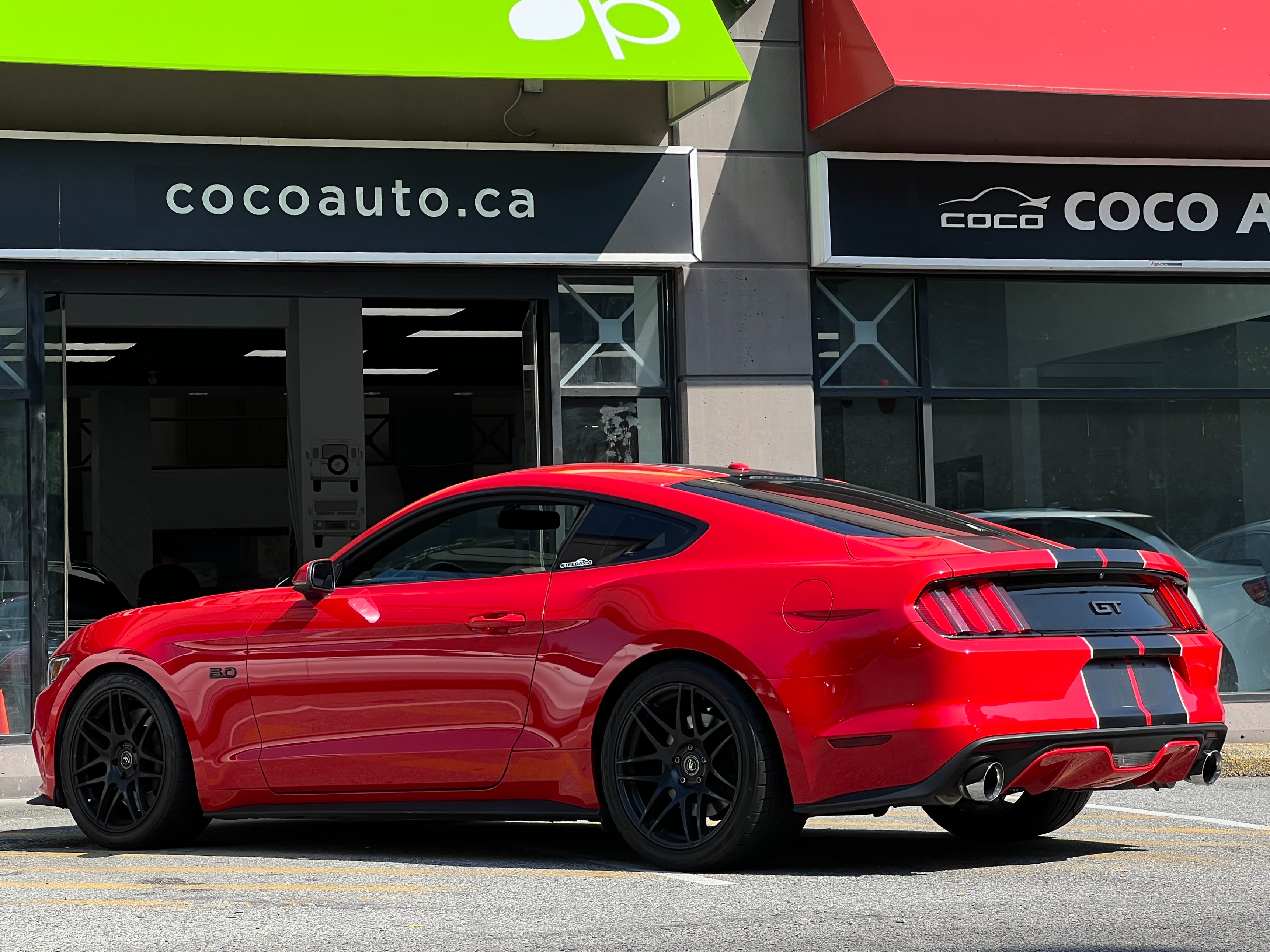 2015 Ford mustang gt 5.0 performance package | no accident | manual transmission - Image 7