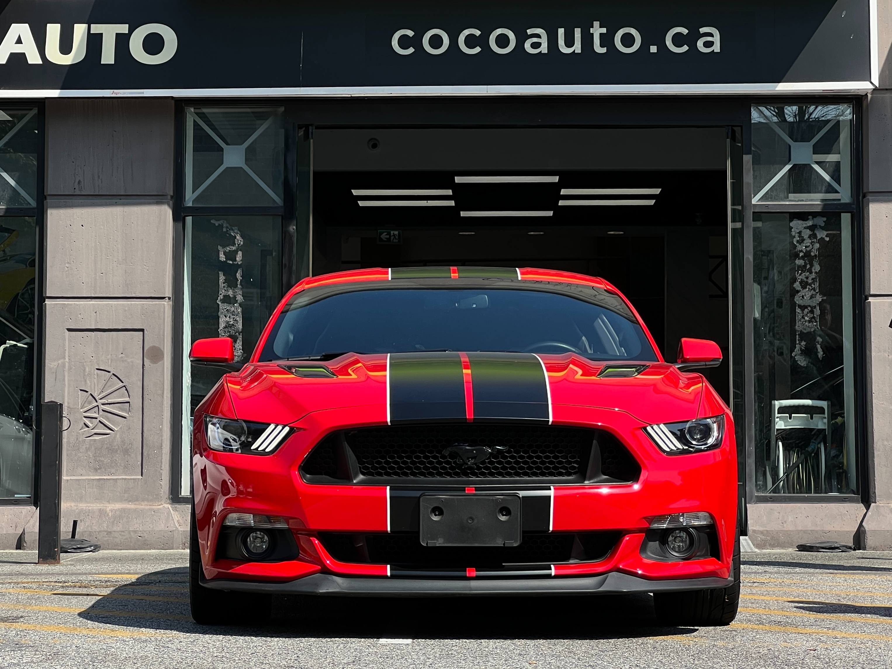 2015 Ford mustang gt 5.0 performance package | no accident | manual transmission - Image 3