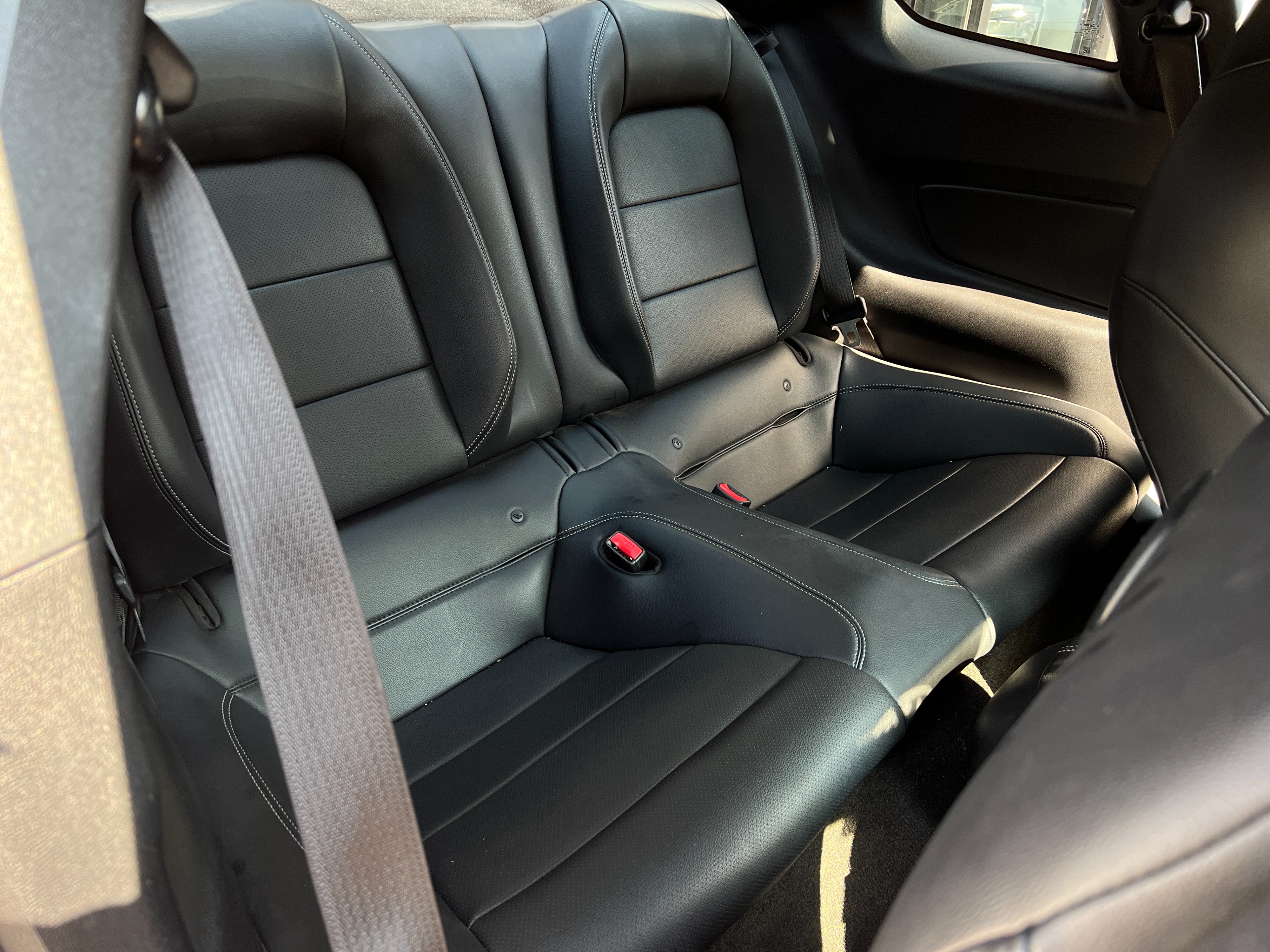 2015 Ford mustang gt 5.0 performance package | no accident |  manual transmission - Image 16