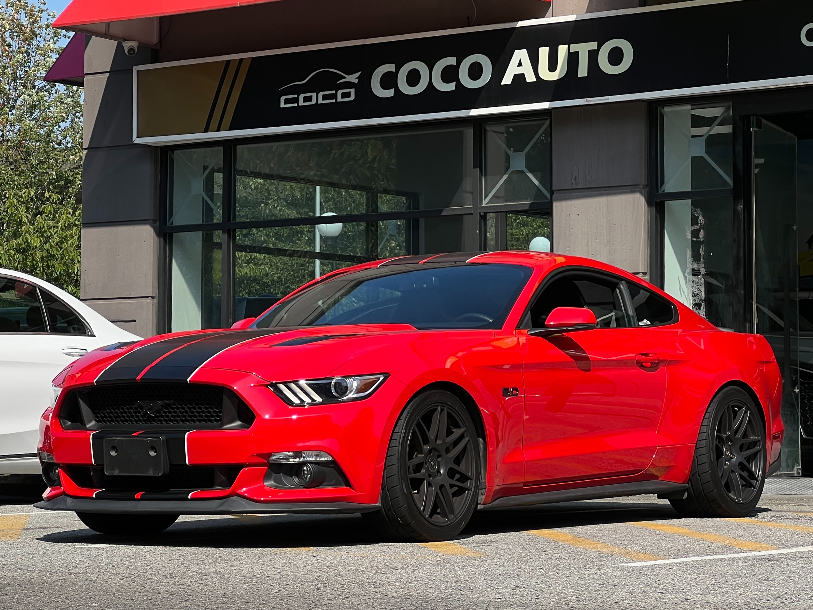 2015 Ford mustang gt 5.0 performance package | no accident | manual transmission - Image 4